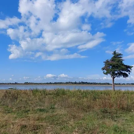 En Bois A 800m De La *